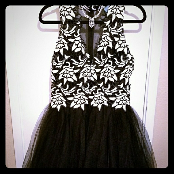 (New With Tags) Romantic Tulle Skirt Dress (S) - Picture 3 of 3